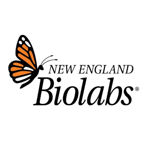 New England Biolabs